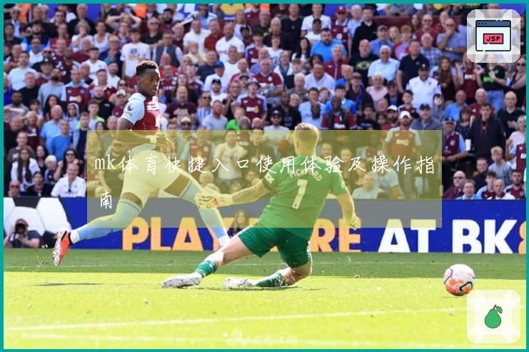 mk体育快捷入口使用体验及操作指南